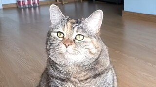 حسنًا... أنا محرج بعض الشيء، متى سنبدأ بالطعام؟