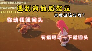 米哈游这个龙虾也太阴了！【星布谷地】