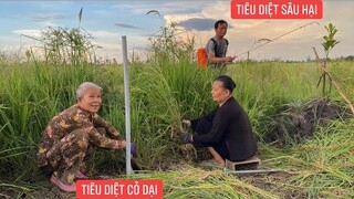 Nhà Khương Dừa về thăm vườn phát hiện nhiều sâu đục thân sâu ăn lá xịt bình thuốc tiêu diệt sâu hại