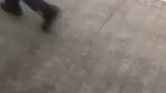 早安🔆愿今日的你 既能踏实前行🌿也能捕捉到风里的甜🌸#