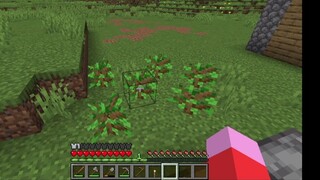 minceraft survie 6