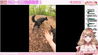 【Ya酱/B限】ya酱看“汪汪队犯大罪”