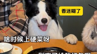 When I Take My Dog to a Banquet