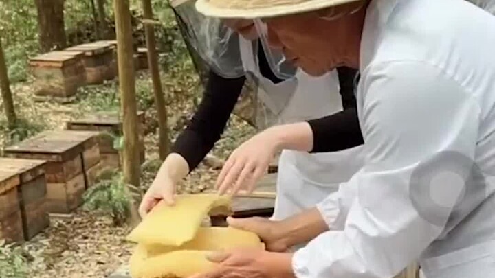 Streamer: I get it if two people share the same name and birthday, but how did everything else match