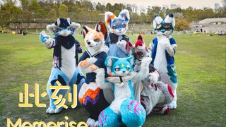 【Fursuitdance此刻memories】十年时间 初心未曾更改