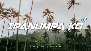 Ipanumpa ko - Oh Caraga [ Breaklatin Remix ] Dj Ronzkie Remix | New Dance Craze 2022