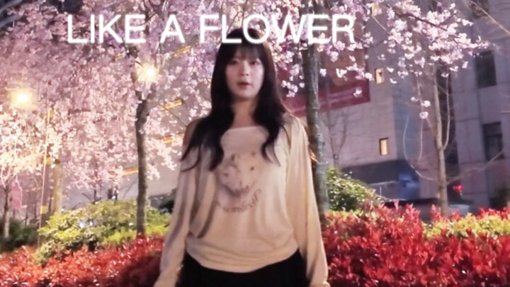 ทุกฤดูซากุระก็ต้องเต้น like a flower อยู่เรื่อยเลย