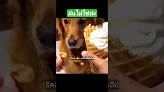 มันไม่ใช่ล่ะ