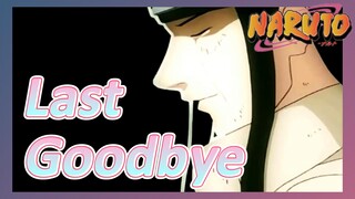 Last Goodbye