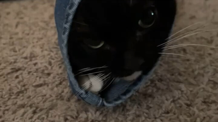 คราวนี้กลายเป็นทูน่าแท่งจริงๆ แล้ว