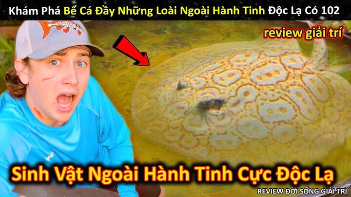 Khám Phá Bể Cá Đầy Những Loài Ngoài Hành Tinh Siêu Độc Lạ Có 1 0 2 || Review Giải Trí Đời Sống