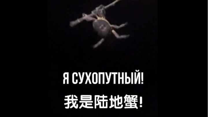 Không ai yêu cầu, nhưng bạn lại "chủ động giúp đỡ"