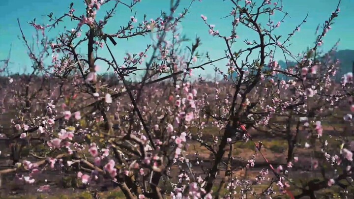 from my beautiful sister Android.