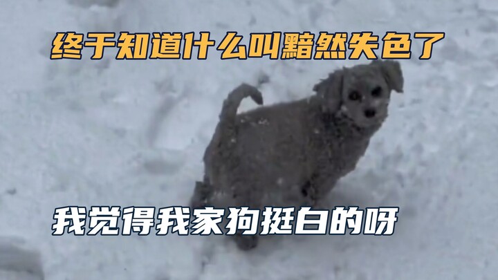 I was afraid of blending into the snow before going out, but when I went out I found that it was unn