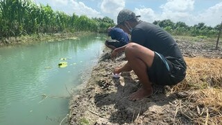 BỮA CƠM SÁNG ĐƠN GIẢN SAU GIỜ LÀM VIỆC - TT216