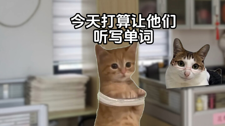 假如00后成为老师时#猫meme小剧场#校园#内容过于真实#00后#搞笑