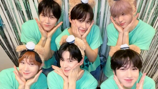 【أمنية NCT】الحب ♡أمنية