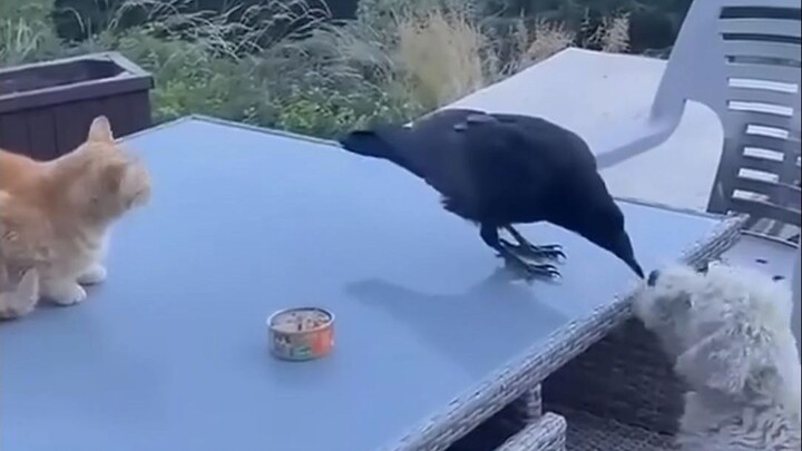 This segment has too many elements.