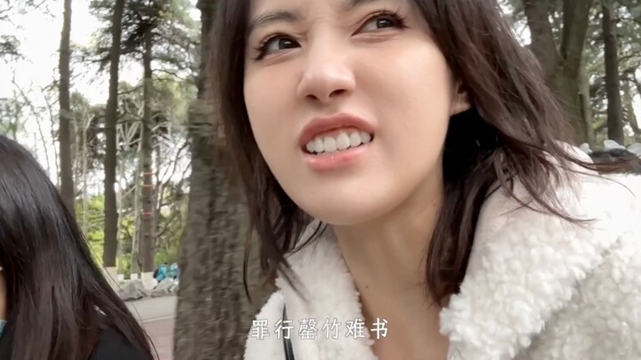 Oops, the chimpanzee I adopted from the zoo for 4,000 yuan a year seems to be a sixth