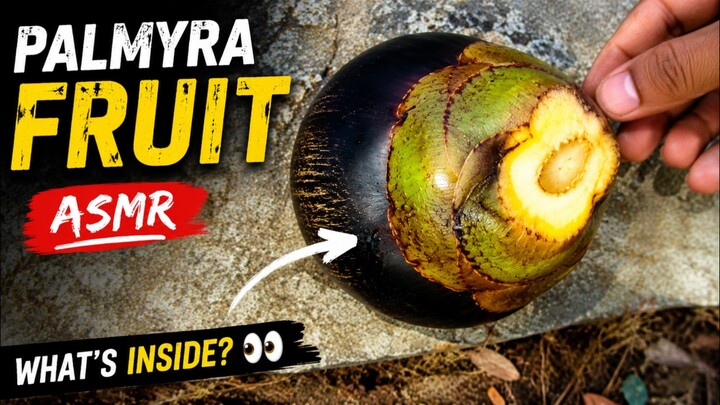 What’s Inside a Palmyra Fruit? 🌴 | Satisfying ASMR