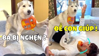 Gâu Đần Family | Khi KHAI TÂM Trổ Tài Hô Hấp Nhân Tạo Cho PAPA Và ... 😂 Gâu Đần Official