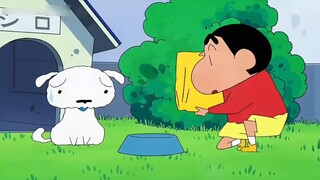 ประโยคที่ว่า “เสี่ยวไป๋ไม่ใช่สัตว์เลี้ยง เขาเป็นสมาชิกครอบครัวของฉัน” เป็นประโยคที่กินใจมาก