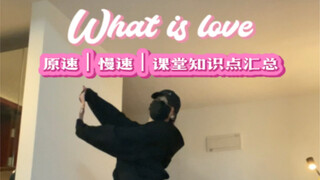 刻在DNA里的问号舞