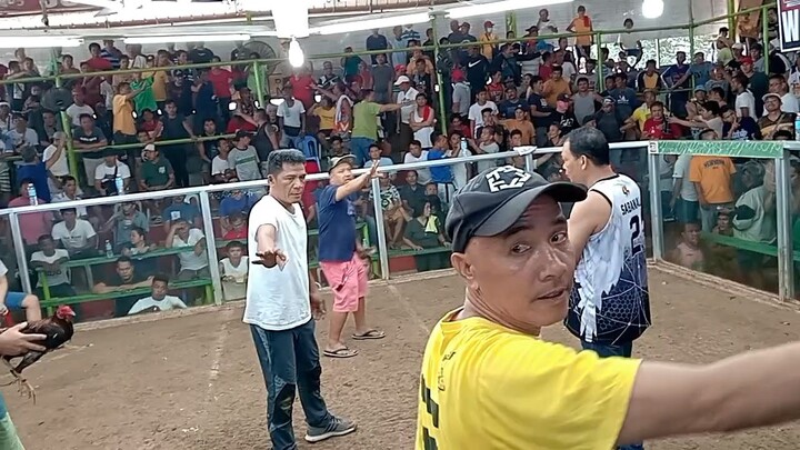 JROOSTER DINK FAIR KELSO