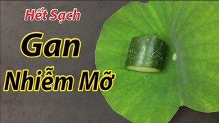 Uống cốc nước này mỗi ngày, hết sạch gan nhiễm mỡ và gan khỏe mạnh suốt đời không phải ai cũng biết