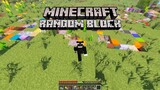 Minecraft Random Block