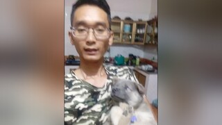 E Bông xinh ko ạ? yeucho yeuchomeo cún cúncon chó chómèo chócon chó_cưng chókhôn yeuchomeo cưng chócute pet dog dogsoftiktok doggo