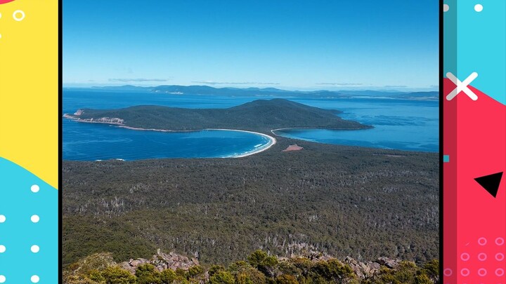 Beruang koala terasa lebih menggemaskan daripada koala!