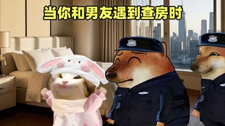 第54集 | 当你和男友在外面遇到查房时
