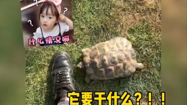 Tidak disangka, si kecil ini ternyata cukup pendendam!