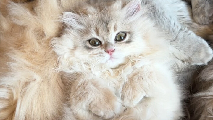 Tay bạn trơn quá này～