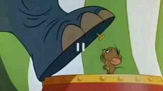 [Tom và Jerry] Jerry bé nhỏ đầy nhiệt huyết