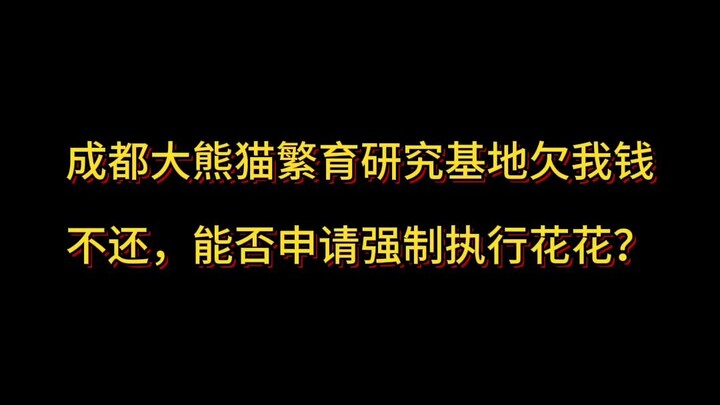 The Chengdu Research Base of Giant Panda Breeding owes me money and won’t pay—can I apply for compul