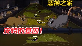 恶搞之家：出生皮特的基因到底有多强大？