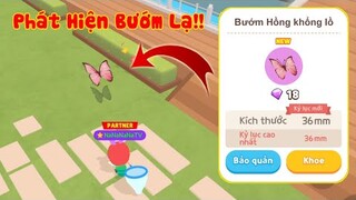 (Play Together) Phát hiện Bướm Hồng Siêu Hiếm khi đi tìm Lỗi Côn Trùng