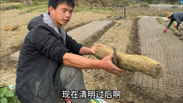 من يريد أي نوع من الخضروات، فليخبرني الآن ولا يزال الوقت مبكراً للزراعة.