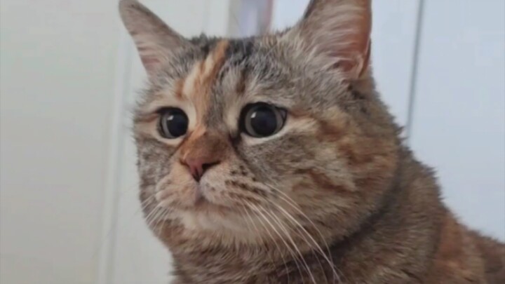 Are you just going to lie there and watch me starve?