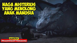 Anak Manusia Yang Meminta Bantuan Naga Untuk Balas Dendam | Alur Cerita Film DRAGONHEART VENGEANCE