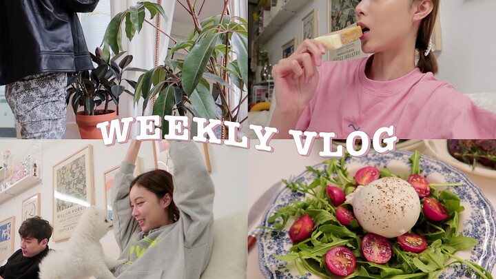 WEEKLY VLOG is back! Carb warning—there was just too much delicious food this week! I was laughing m