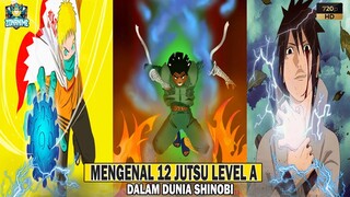 MENGENAL 12 JUTSU RANK/LEVEL A - [NARUTO/BORUTO]