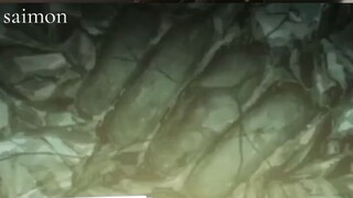 baki hanma