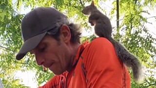The little brother accidentally injured a squirrel while cutting wood. The little squirrel did not b