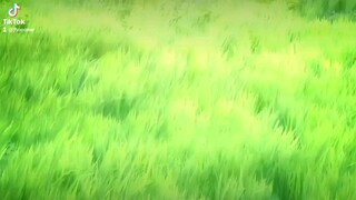 Genshin impact X Ufotable