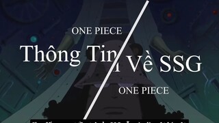 SSG Có Vai Trò Như Thế Nào Đối Với Hải Quân – Nguồn Gốc & Sức Mạnh p2