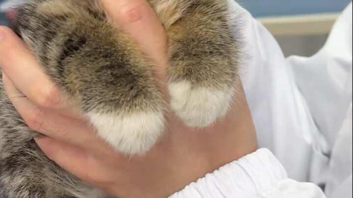 มันน่ารักมากจริงๆ เลย