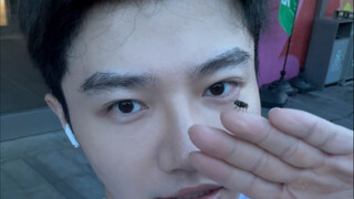 บล็อกวันของฉันกับแมลงวัน